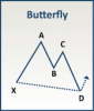 bull_butterfly.png